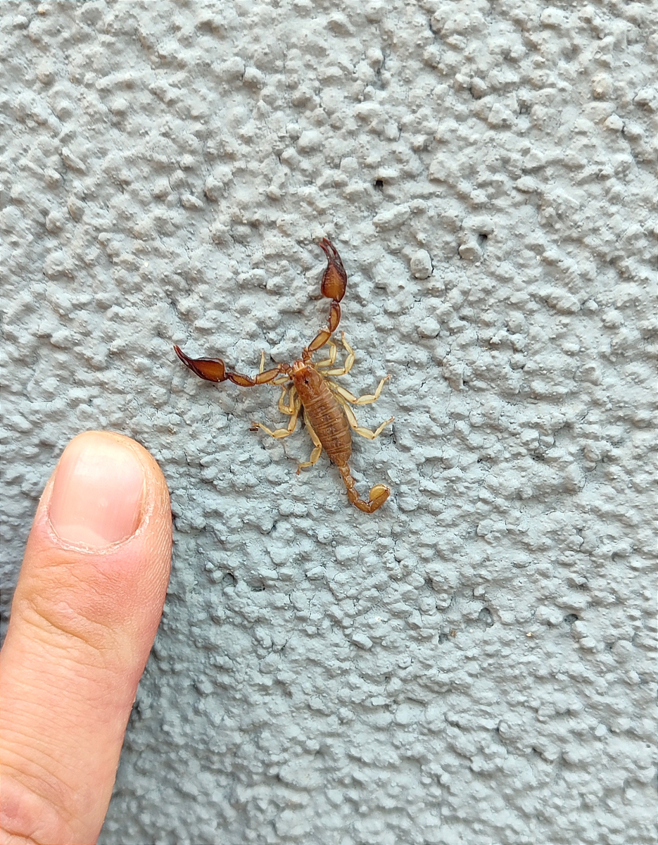 �� ��� �����? ��� ��� ���!