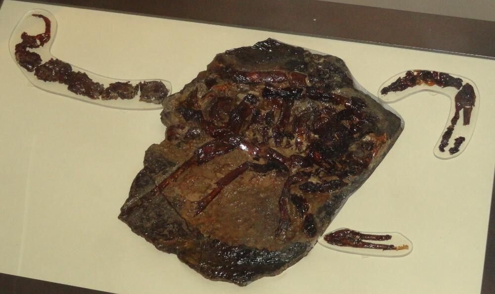 ������������ ������� ��� � ���, ��� ���� ����� ������� ����� 330 ��� ��� �����.