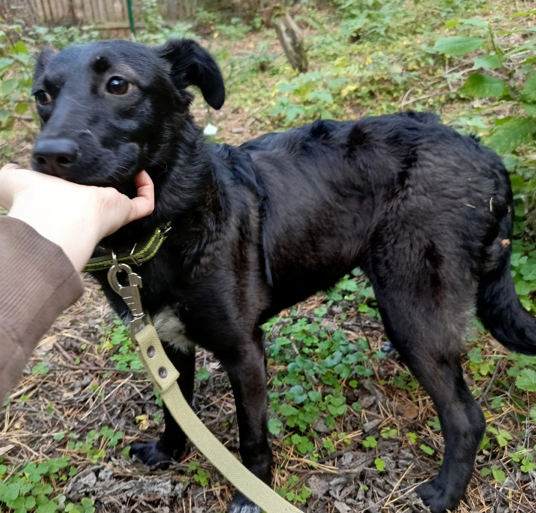 Рост ниже среднего