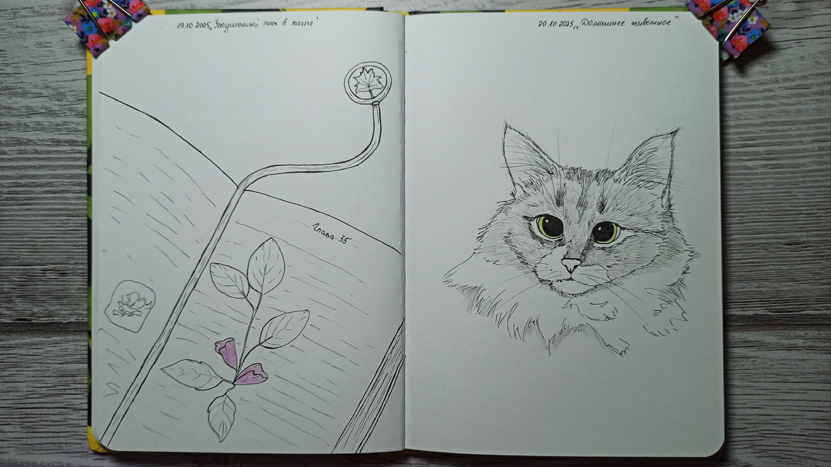 20 октября, домашнее животное 