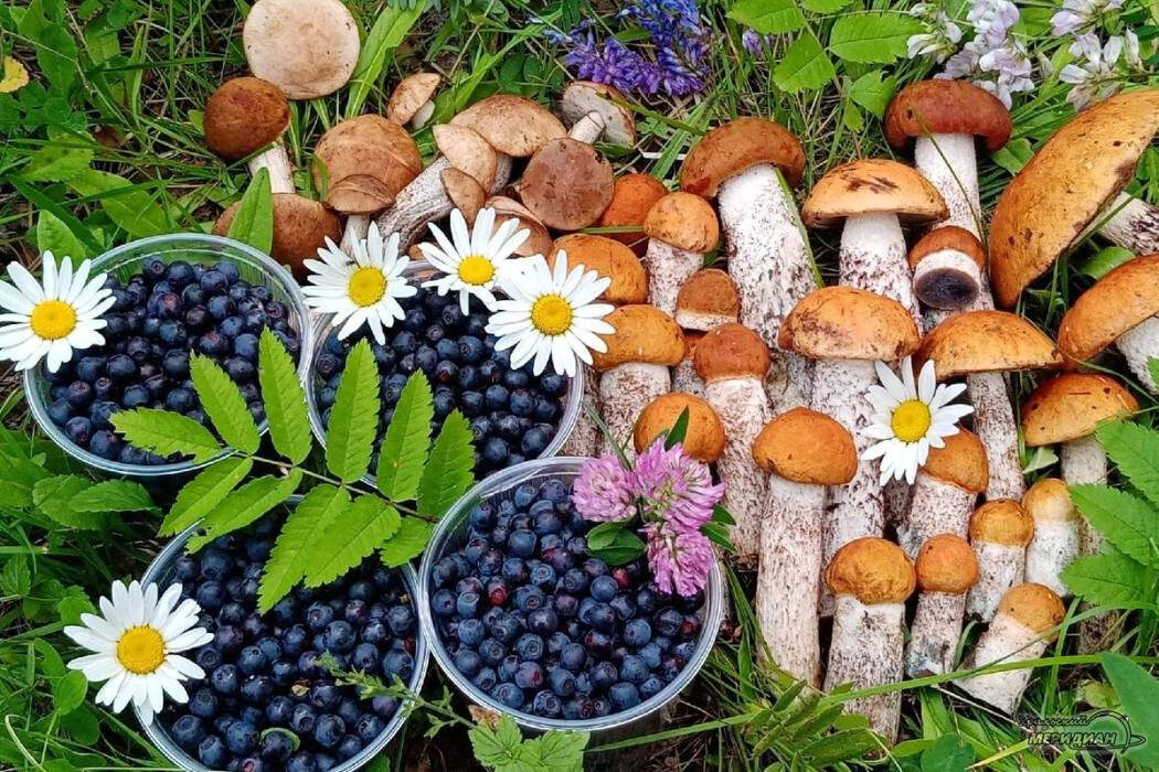    Фото: Людмила Буздалова для © ИА «Уральский меридиан»