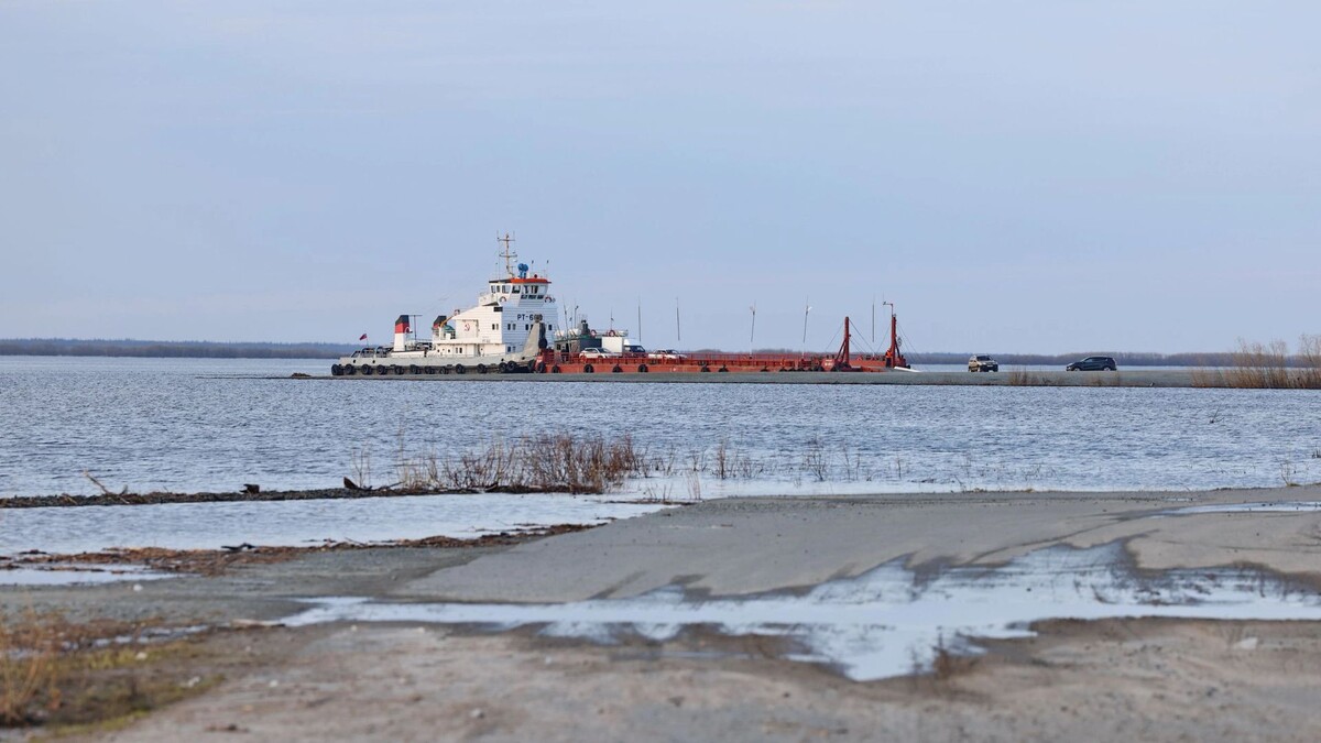    Фото: Андрей Ткачев/«Ямал-Медиа»