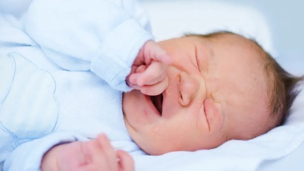    Фото: Shutterstock