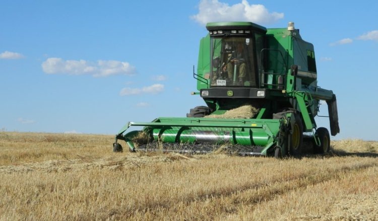    Фото: Пресс-служба Минсельхоза Забайкальского края