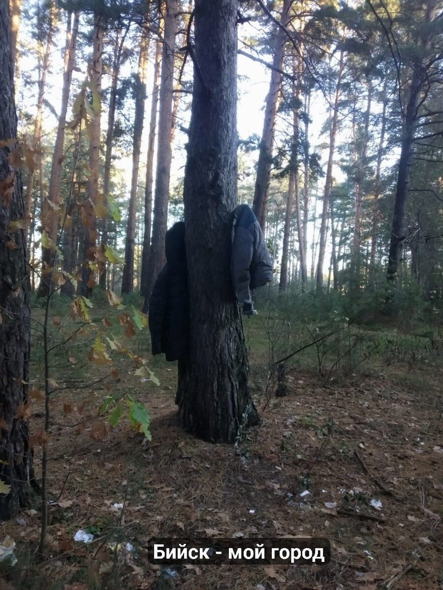    Мусор в лесу на АБ в Бийске. Источник: t.me/biworkBMG