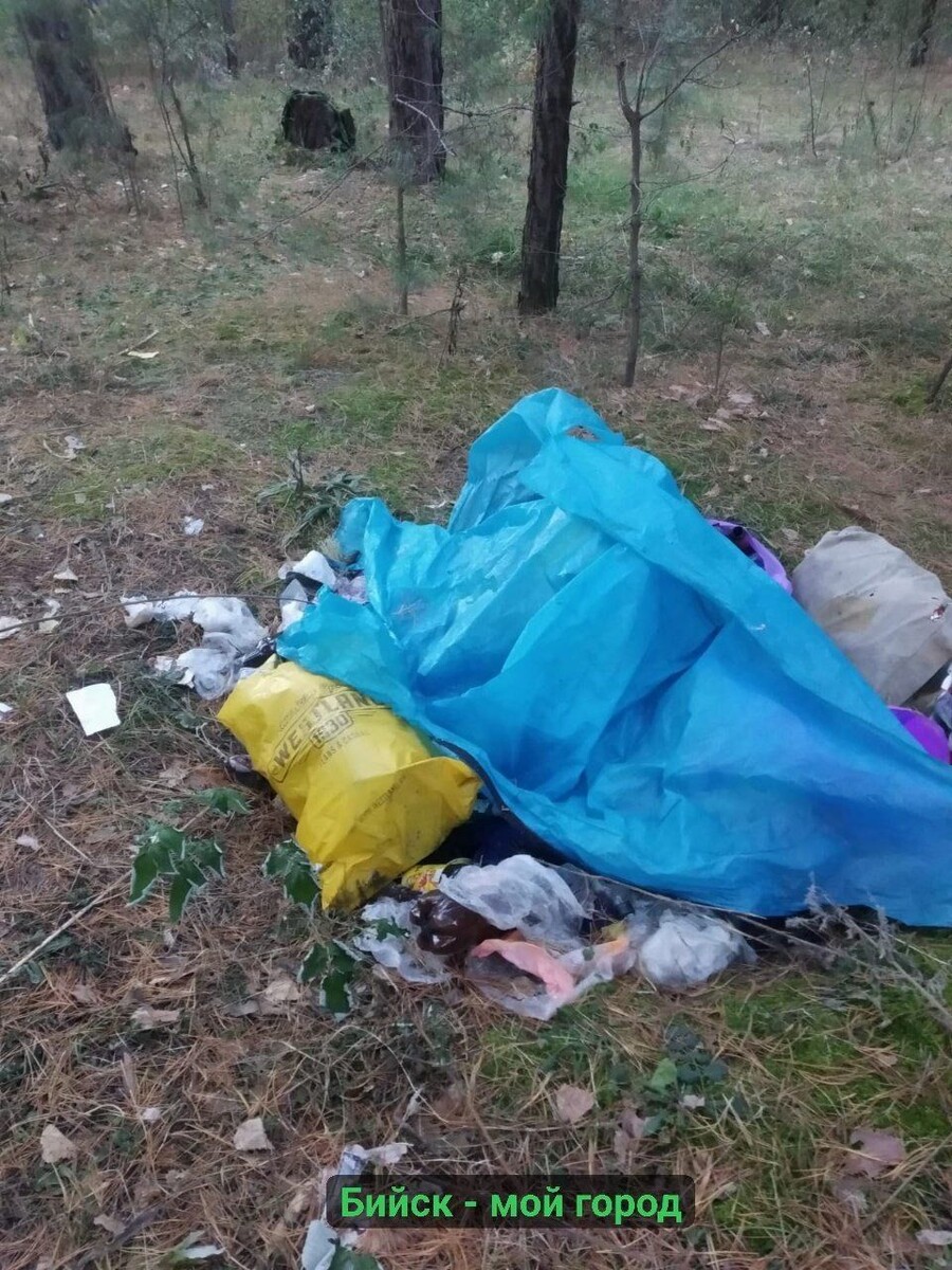    Мусор в лесу на АБ в Бийске. Источник: t.me/biworkBMG