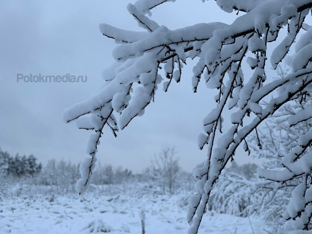    Фото: Иннокентий Радыгин