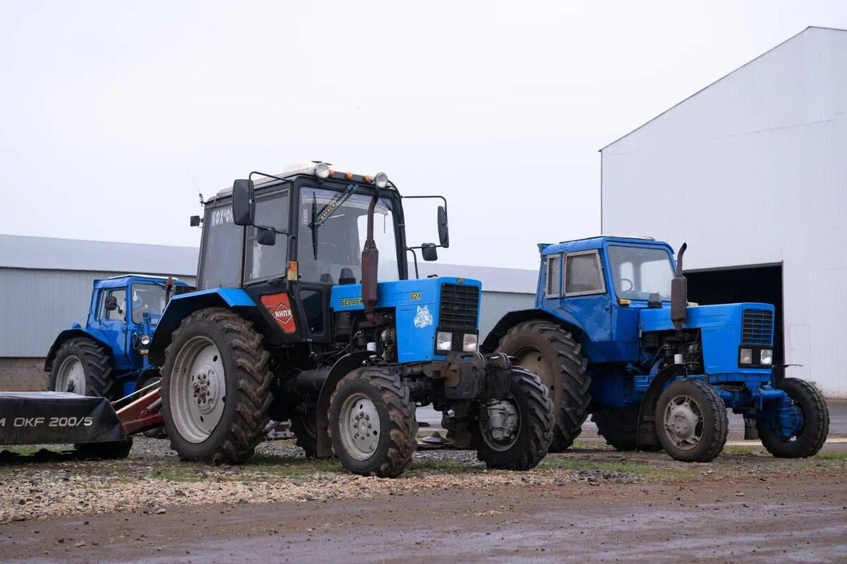    В Оренбургской области собрано более 4 миллионов тонн зерна