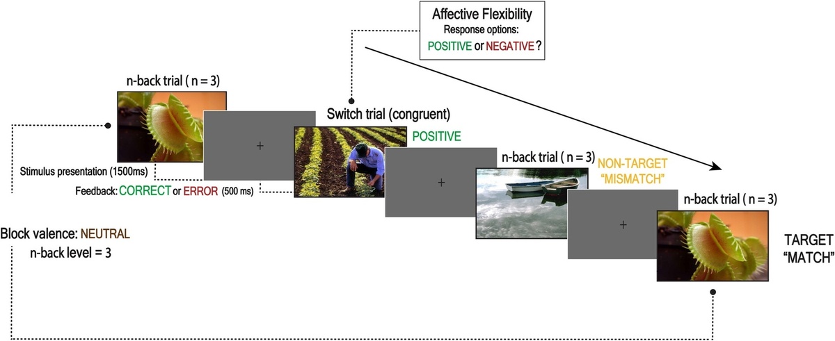    Последовательность и время появления стимулов в задании на память и эмоциональную гибкостьhttps://bpspsychub.onlinelibrary.wiley.com/doi/10.1111/bjop.70025