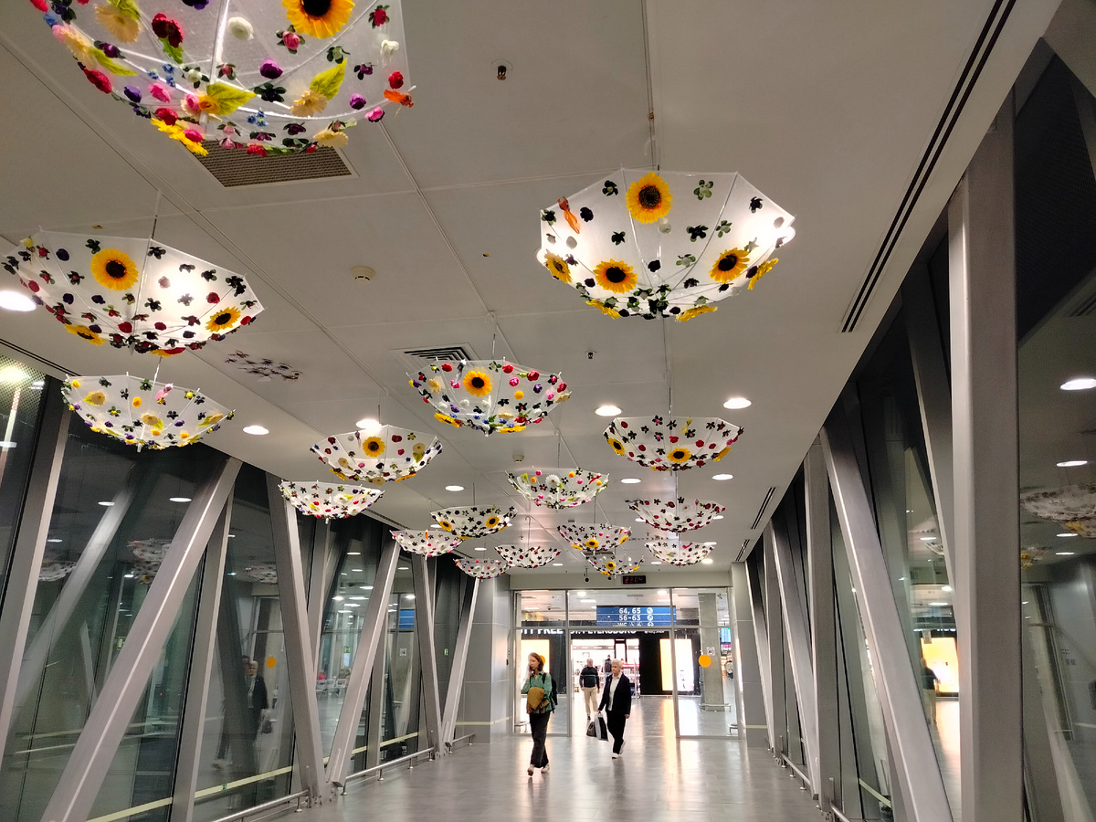 Зонтики цветные провожают нас