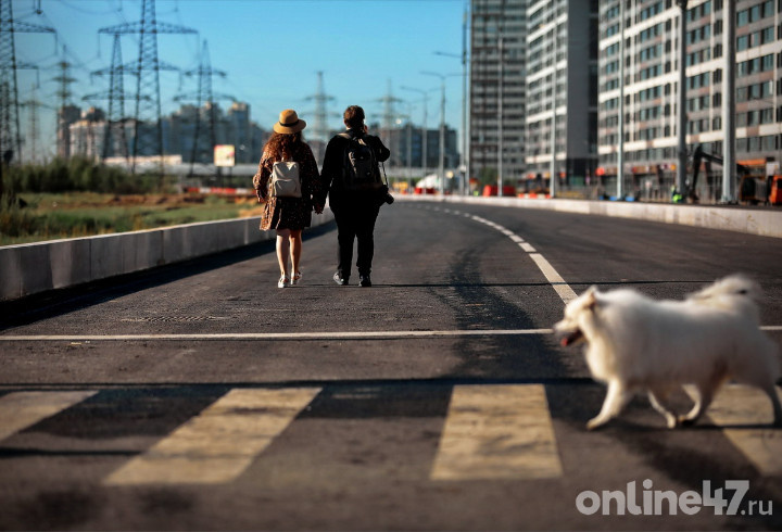 фото: Валентин Илюшин/Online47