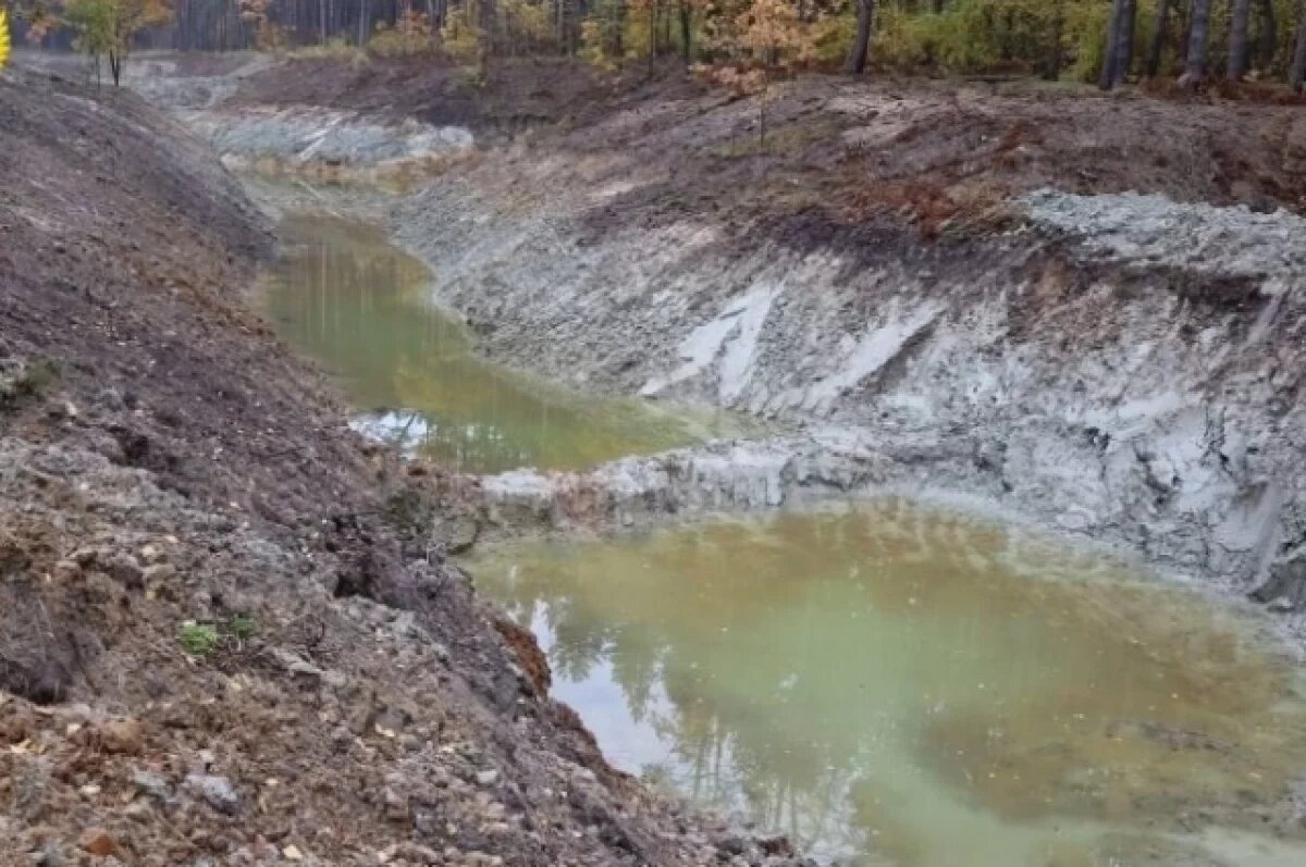    В Суворовском районе прокуратура проверит законность использования участков