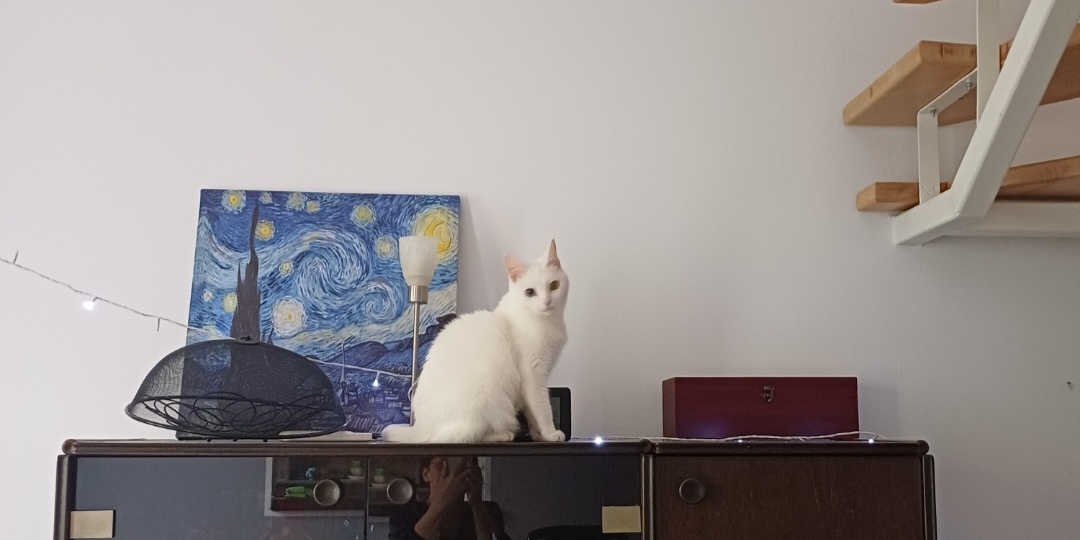 Для тех, "кого достали" мантры зоозащиты.