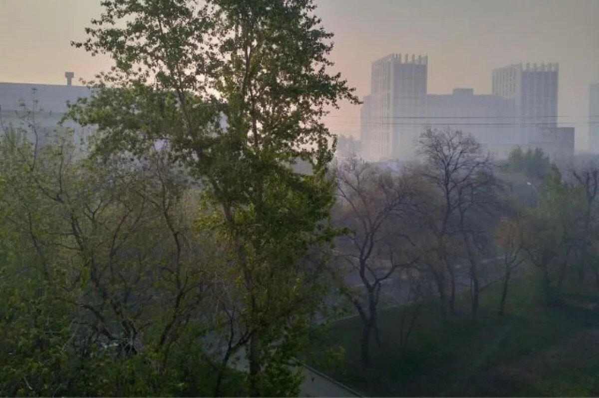    Роспотребнадзор обнаружил улучшение качества воздуха на Урале