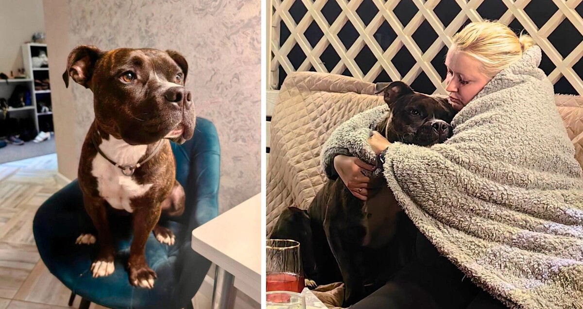 Зефир и его хозяйка Надежда. Фото: сообщество «Звездный пес — клуб служебных собак в отставке» во «ВКонтакте»