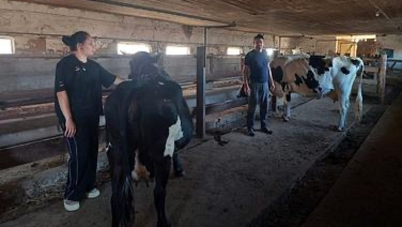      Фото: Администрация Арзгирского округа