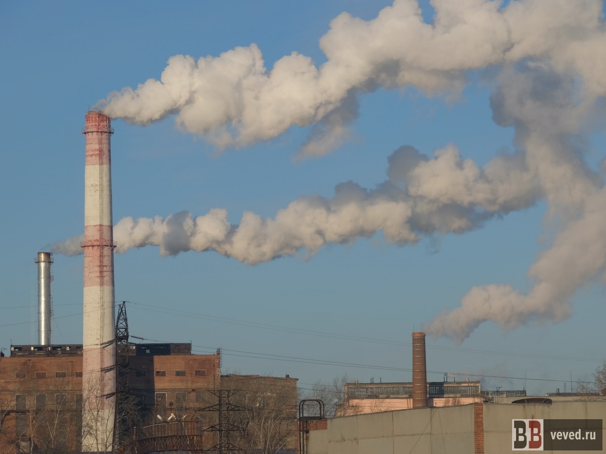     Фото: Владислав Постников / Вечерние ведомости