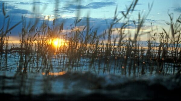    © Sputnik / В. Чистяков