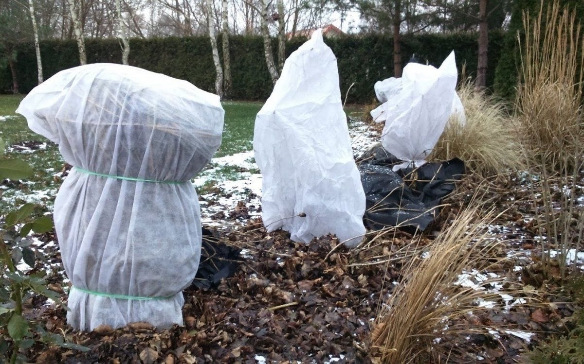 Не забывайте вовремя снимать временные укрытия, если заморозки кратковременные и после них наступает теплая погода.