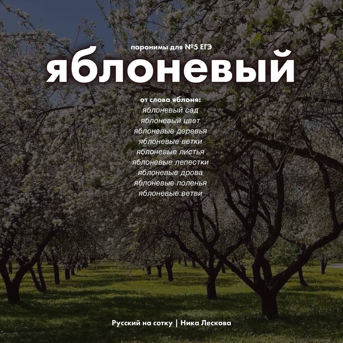 Примеры употребления слова ЯБЛОНЕВЫЙ. Скачать авторские карточки можно у меня в тг, в вк и на пинтерест