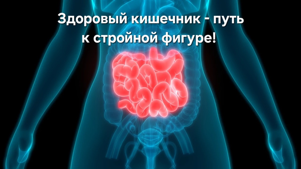 Здоровый кишечник - путь к стройности. 