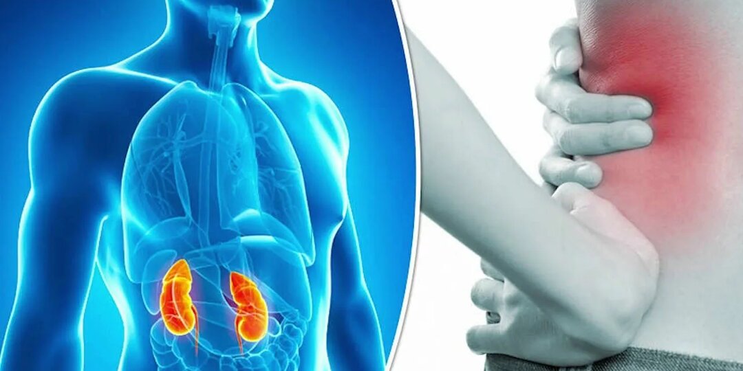 Тихий сигнал: 7 признаков, которые могут указывать на проблемы с почками