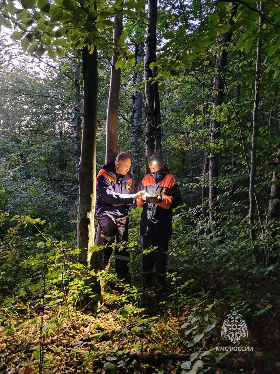    Фото: пресс-служба ЮРПСО МЧС России
