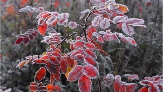    МЧС Юлия Виноградова