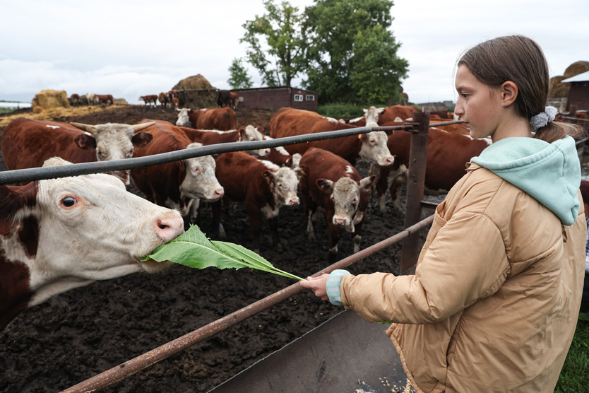 Фото обложки: Кирилл Кухмарь / ТАСС