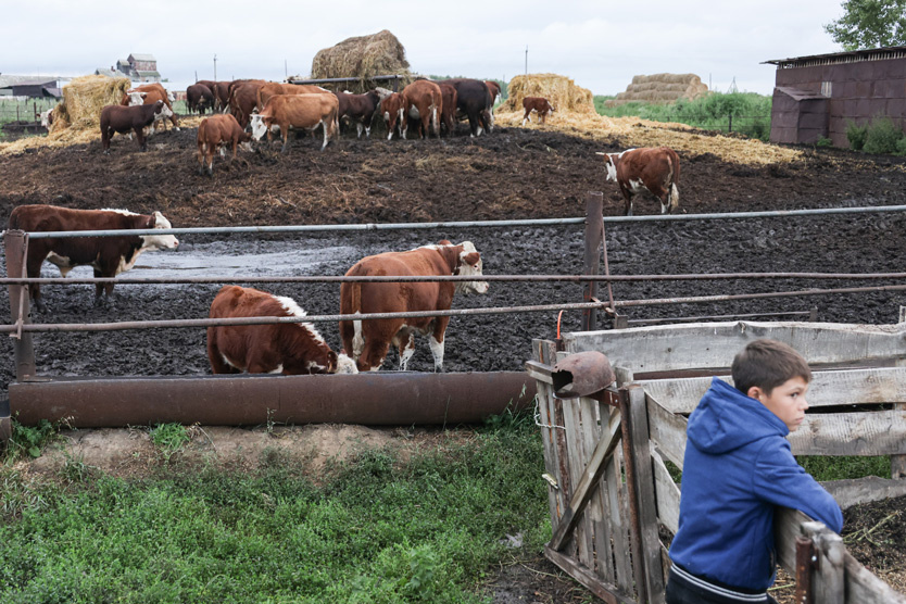    Фото: Кирилл Кухмарь / ТАСС