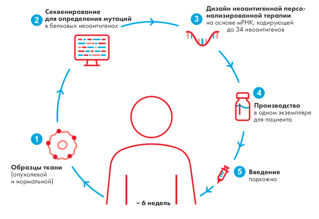 Схема изготовления персонализированной неоантигенной вакцины.