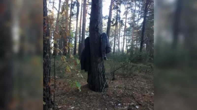    В Бийском лесу неизвестные «одели» деревья в куртки. телеграм-канал «Бийск — мой город».