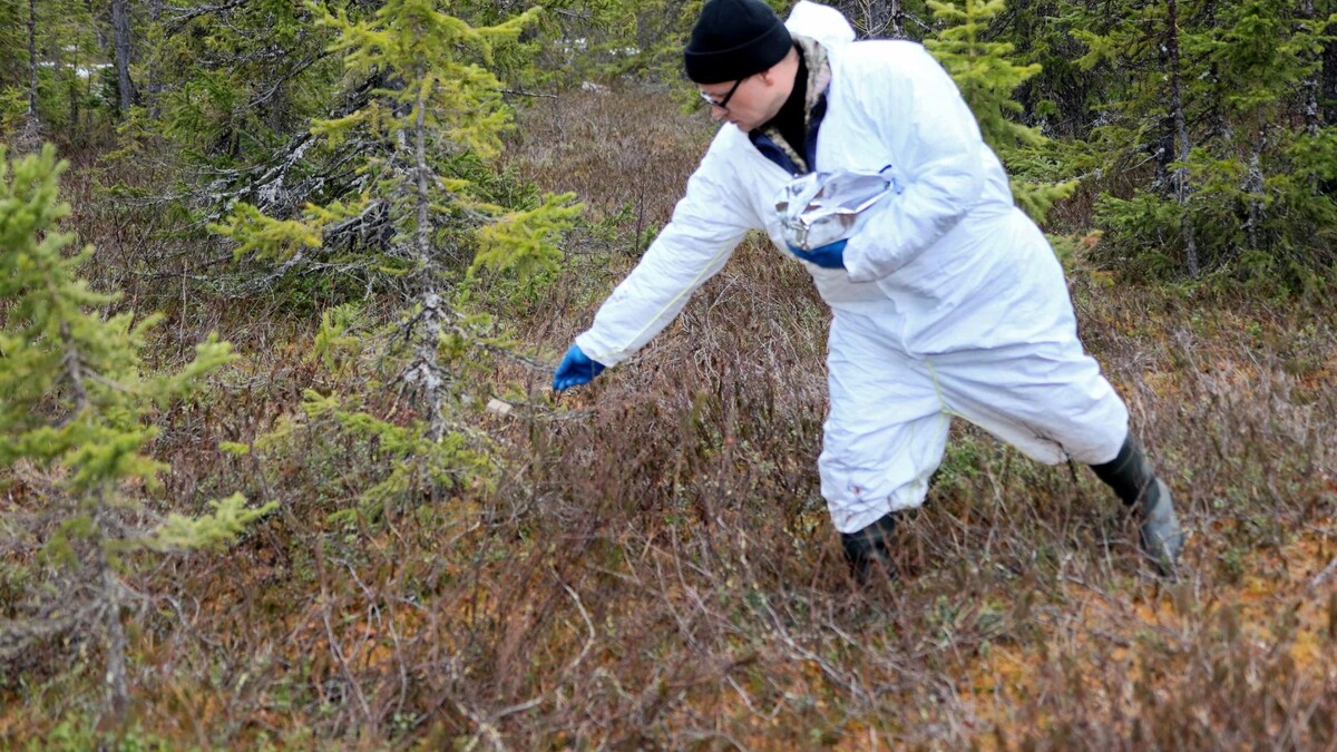    Фото: Василий Петров/«Ямал-Медиа»