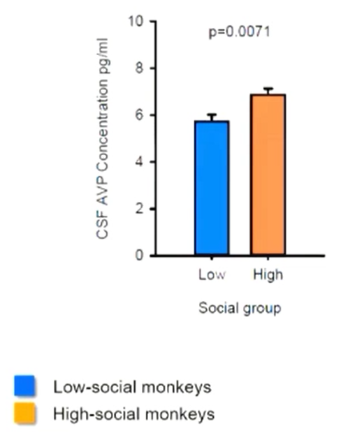 Уровень вазопрессина у обезьян с низкими социальными навыками (синий) и развитыми социальными навыками (оранжевый)