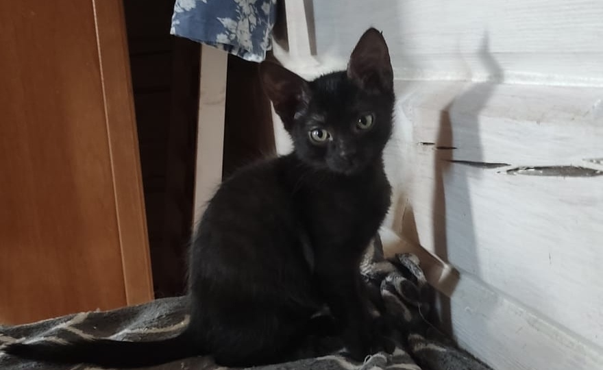 Выбрался из нехорошей квартиры