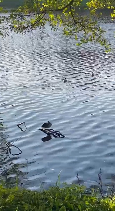 Рига, 9 октября 2025