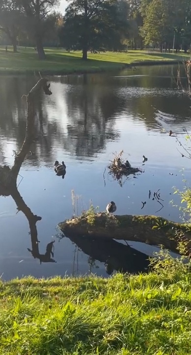 Рига, 9 октября 2025