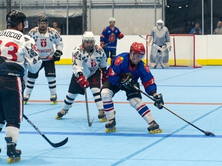     фото - fh71.ru, федерация хоккея Тульской области