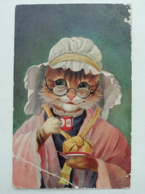 источник фото: https://static.auction.ru/offer_images/rd48/2019/11/13/01/big/3/33eqRMIMNVK/koshka_v_ochkakh_jumor_babushka.jpg