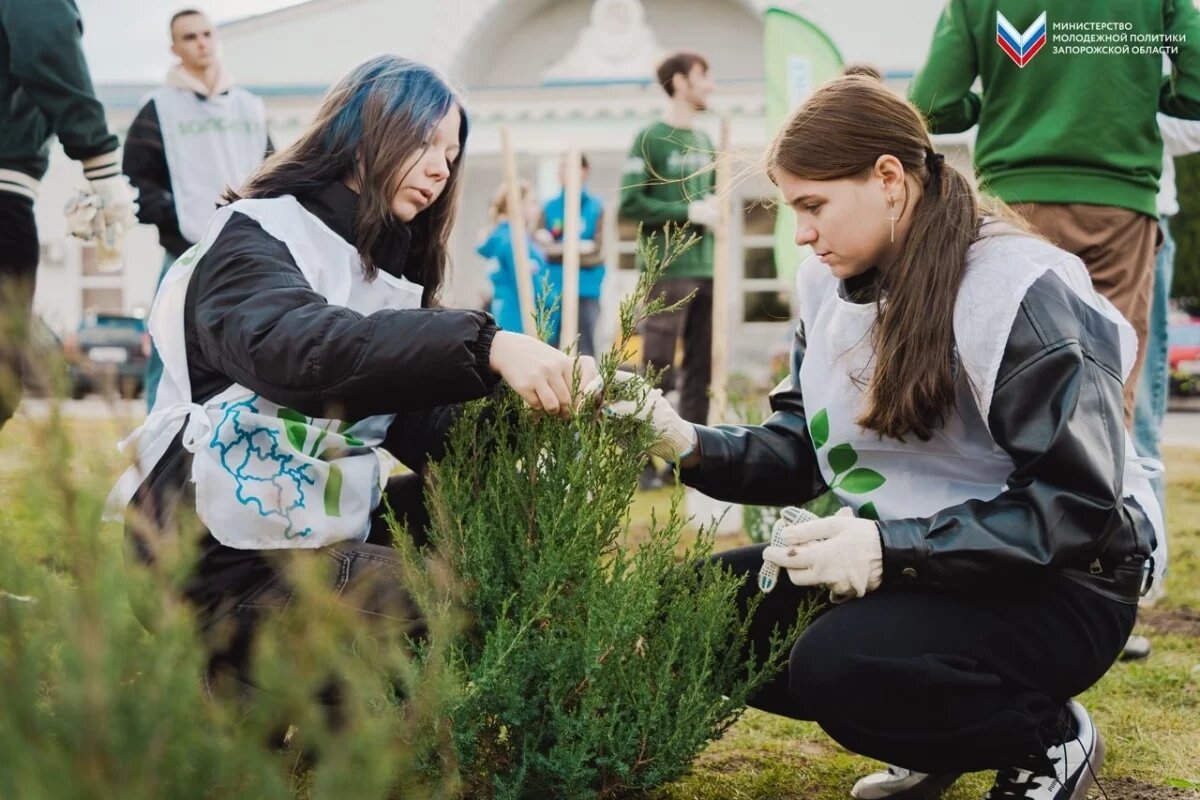    Совместная Аллея псковской и запорожской молодежи появилась в Мелитополе