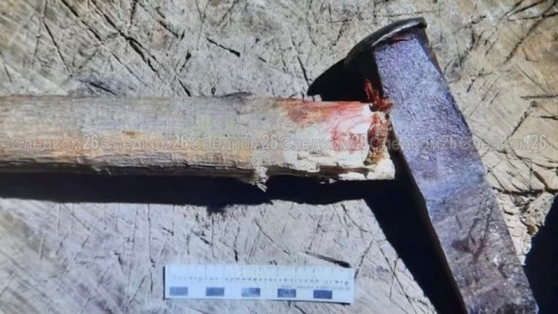      Фото: СУ СКР по Ставропольскому краю