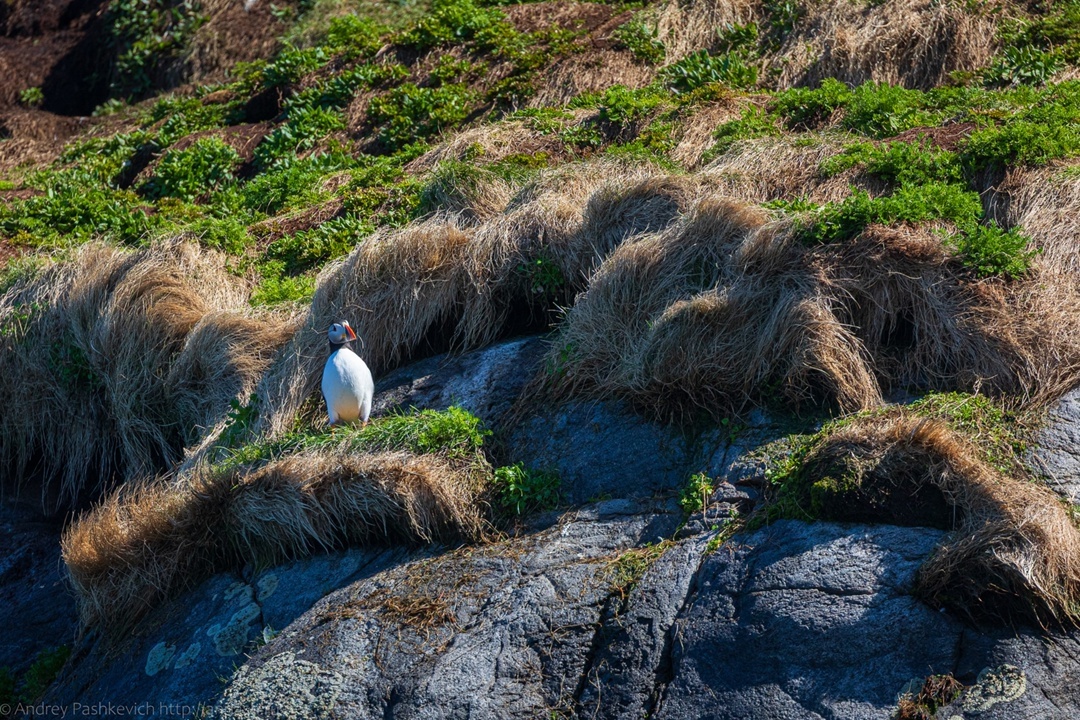 Тупик. Фото: Андрей Пашкевич