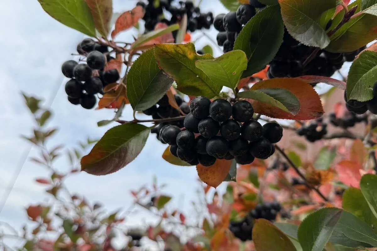 Фото: UfacityNews.ru