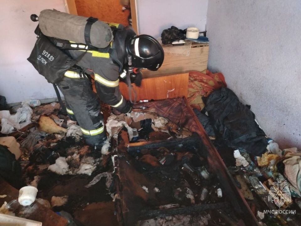    Пожар на Павловском тракте. Источник: t.me/mchs_altkray