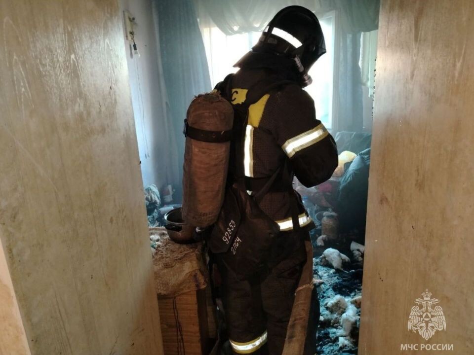    Пожар на Павловском тракте. Источник: t.me/mchs_altkray