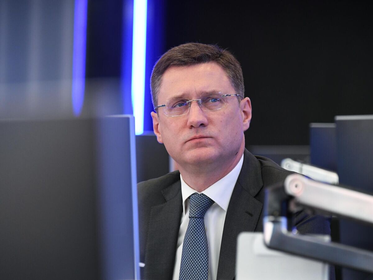    Заместитель председателя правительства РФ Александр Новак на заседании Федерального штаба по газификации регионов© РИА Новости / Сергей Пятаков