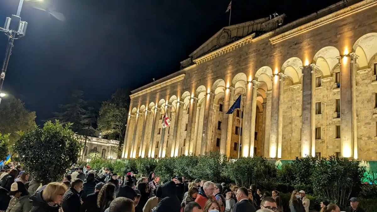    Демонстрации в Грузии. © Соцсети