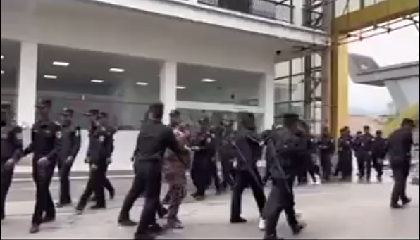 Фото: кадр видео