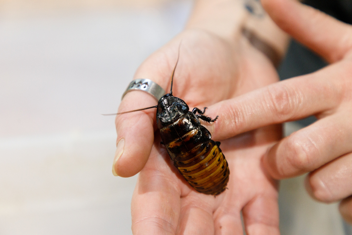 Фото: Тульская служба новостей