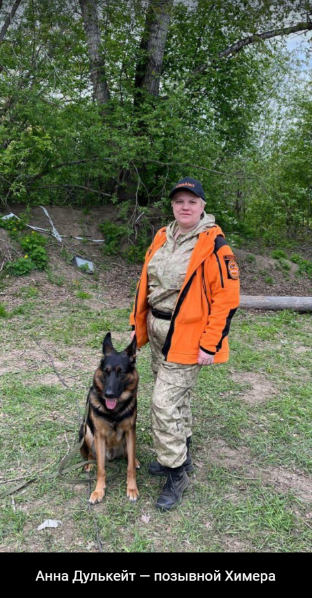 Фото из открытых источников